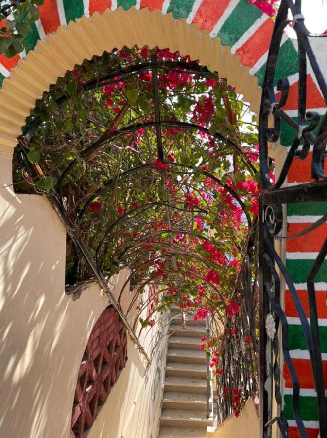 Nubian Dreams Guest House Assuão Exterior foto
